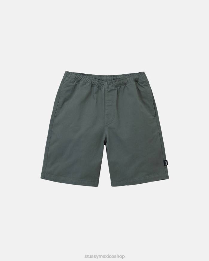 bermudas short de playa cepillado unisexo sabio STUSSY 64PX279