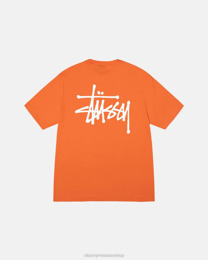 camisetas camiseta básica unisexo coral STUSSY 64PX4